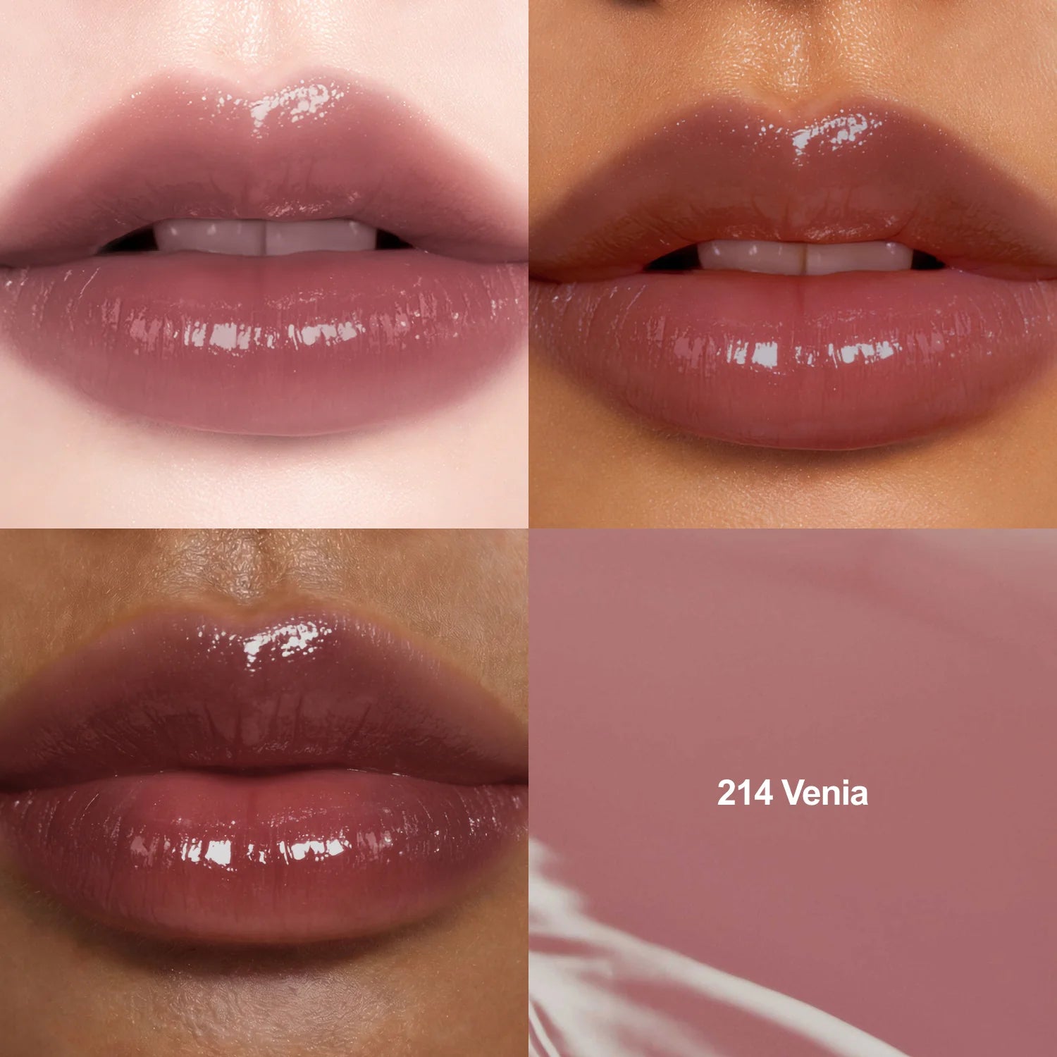 Dinto Blur & Glow Lip Tint - 214 Venia