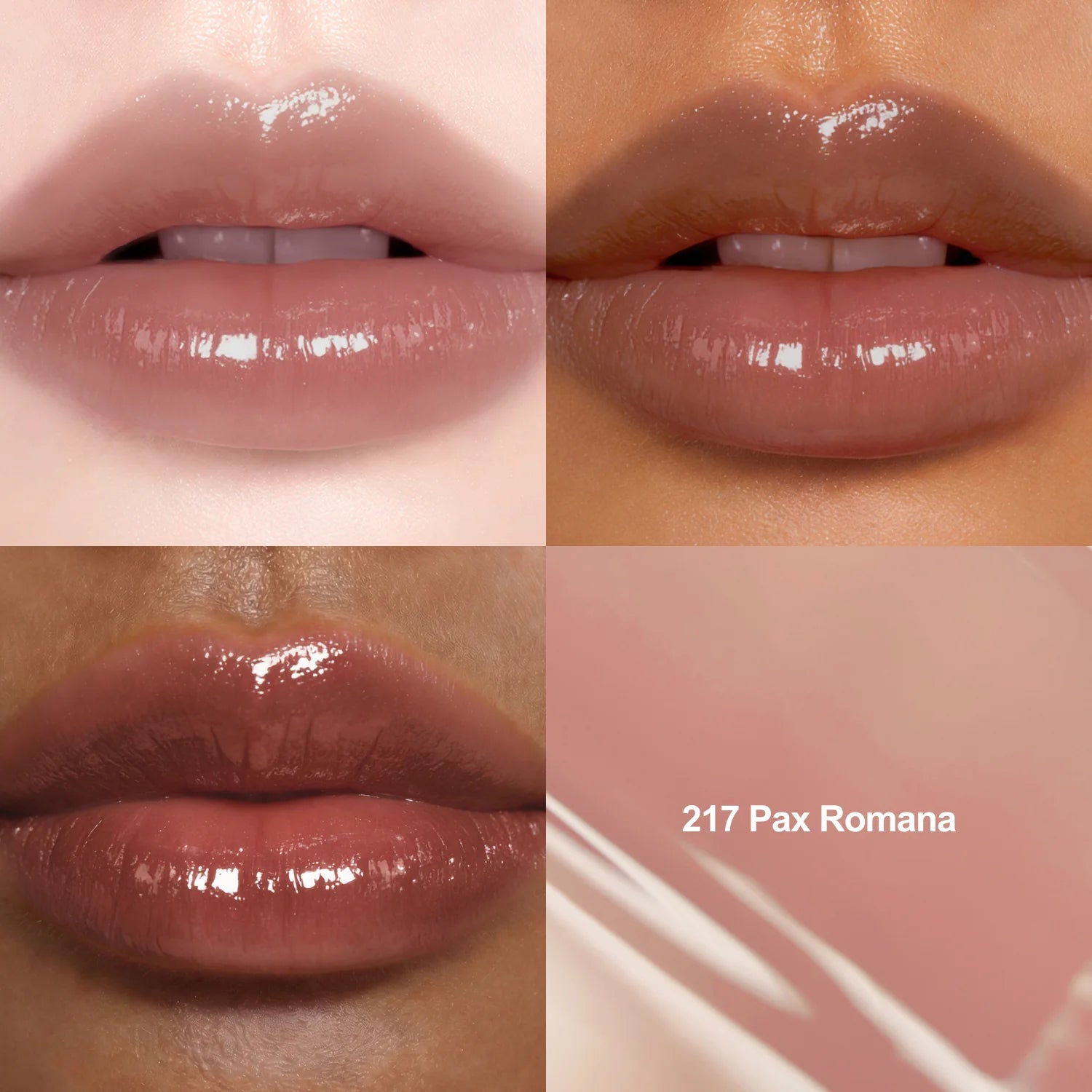 Dinto Blur & Glow Lip Tint - 217 Pax Romana